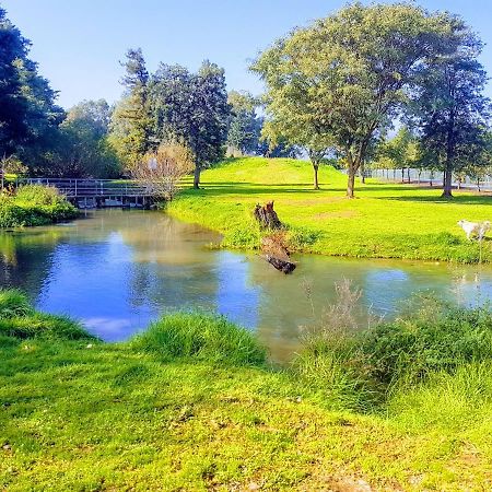 Huge & Private Villa In Kibbutz ダフナ エクステリア 写真