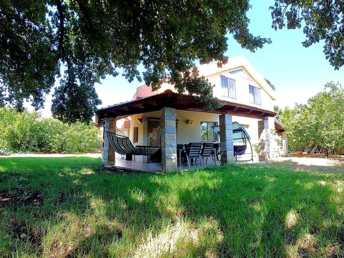 Huge & Private Villa In Kibbutz ダフナ エクステリア 写真