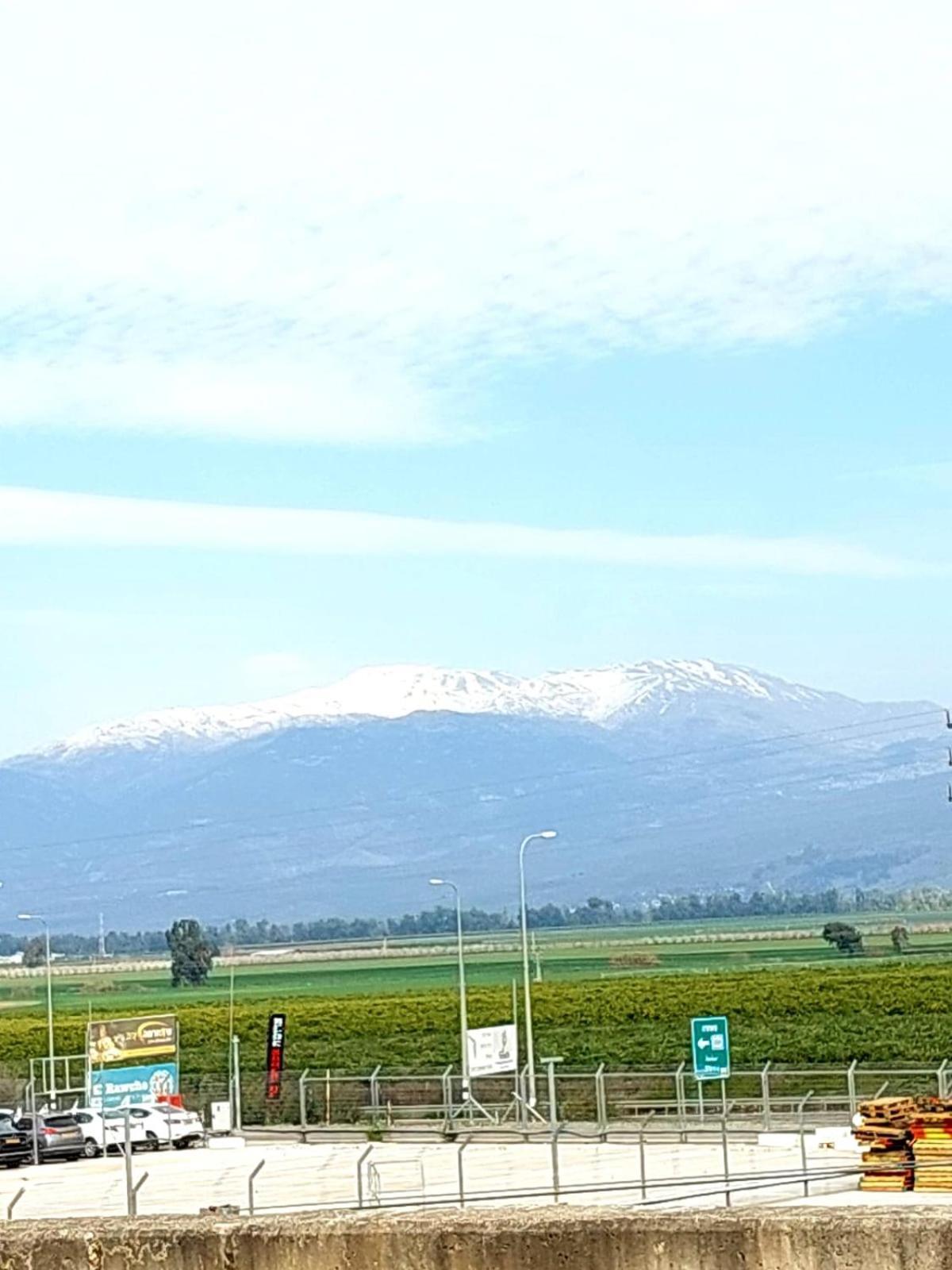 Huge & Private Villa In Kibbutz ダフナ エクステリア 写真