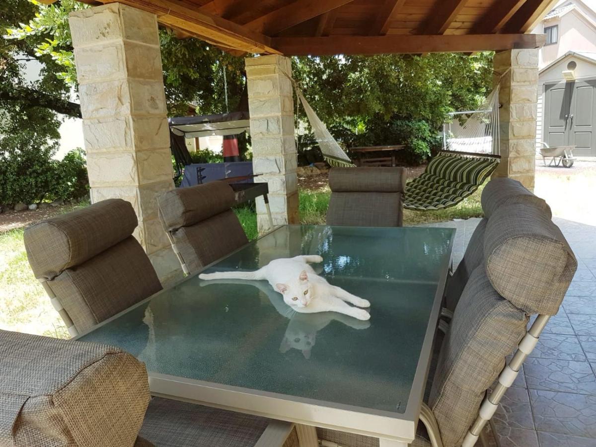 Huge & Private Villa In Kibbutz ダフナ エクステリア 写真
