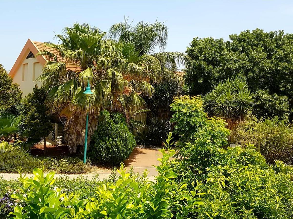Huge & Private Villa In Kibbutz ダフナ エクステリア 写真